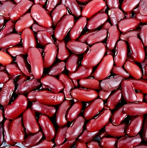 Red kidney beans | Maharagwe mekundu