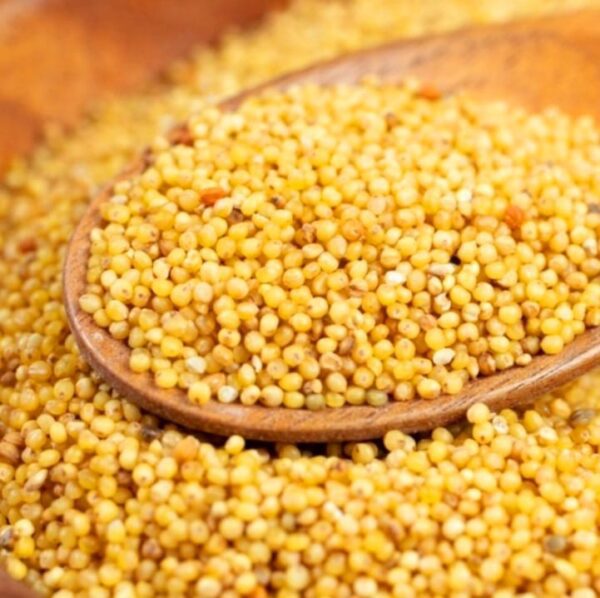 Millet | Wimbi