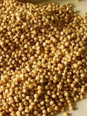 Sorghum | Mtama