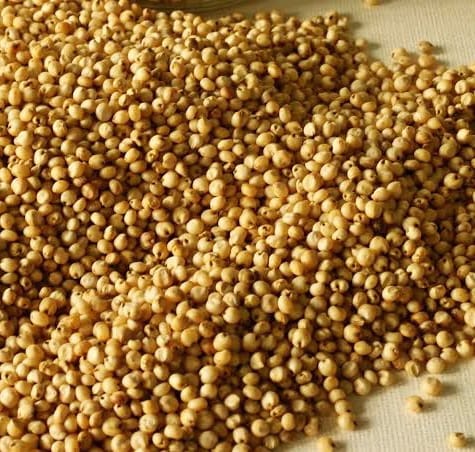 Sorghum | Mtama