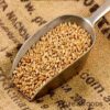 Wheat | Ngano